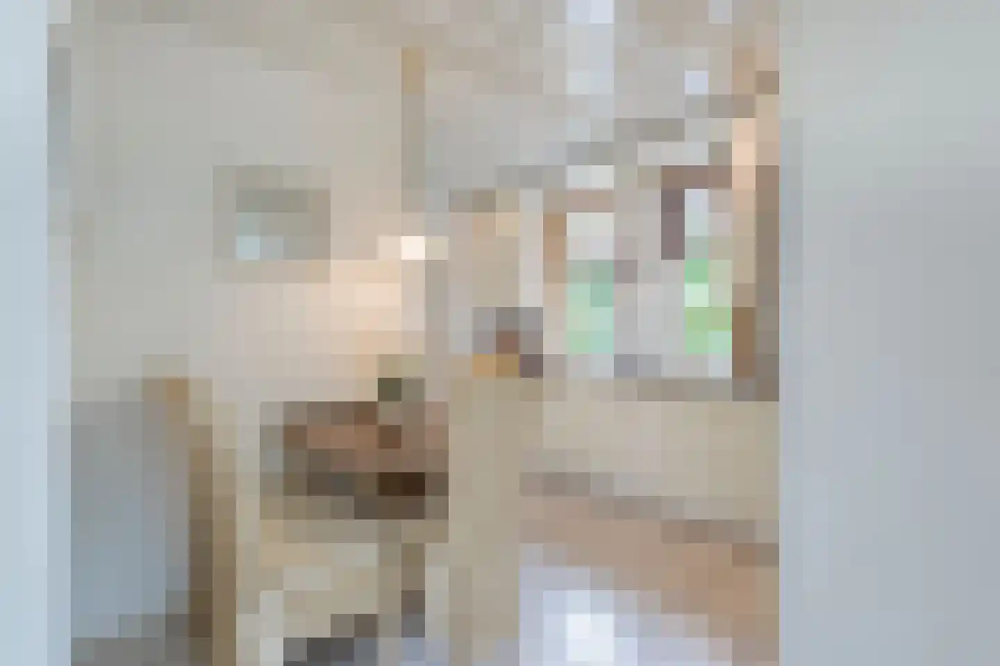 't Eiland 4 Werkendam thumbnail 27