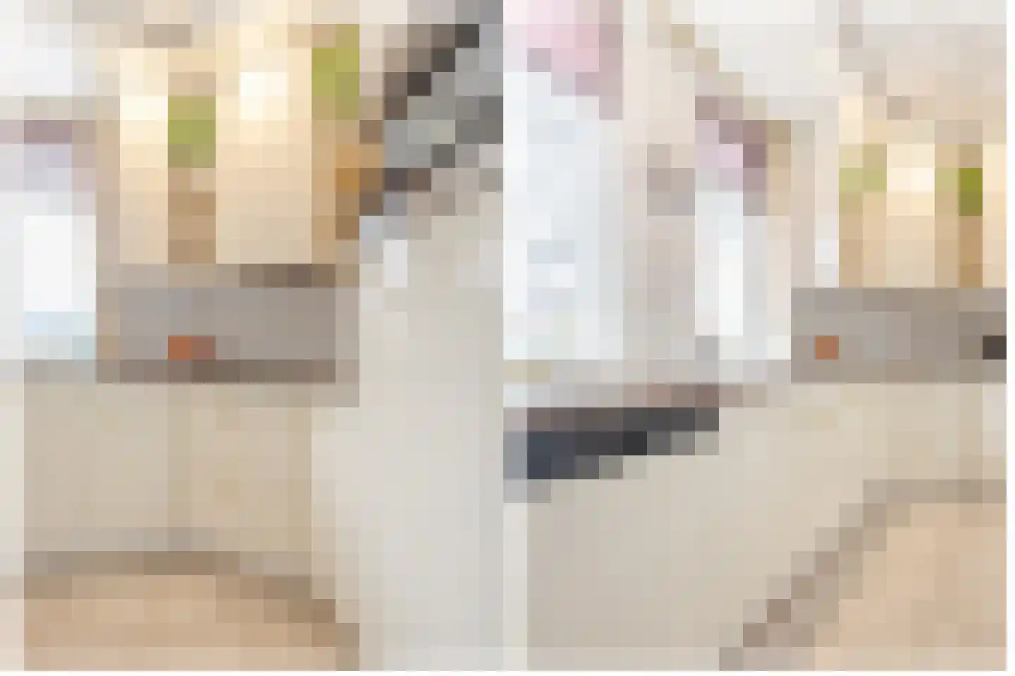 't Eiland 4 Werkendam thumbnail 29