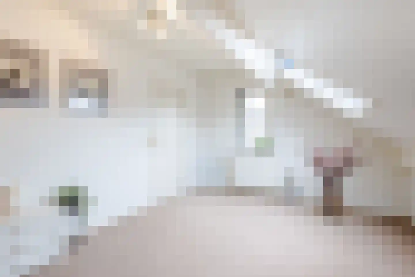 't Eiland 4 Werkendam thumbnail 42