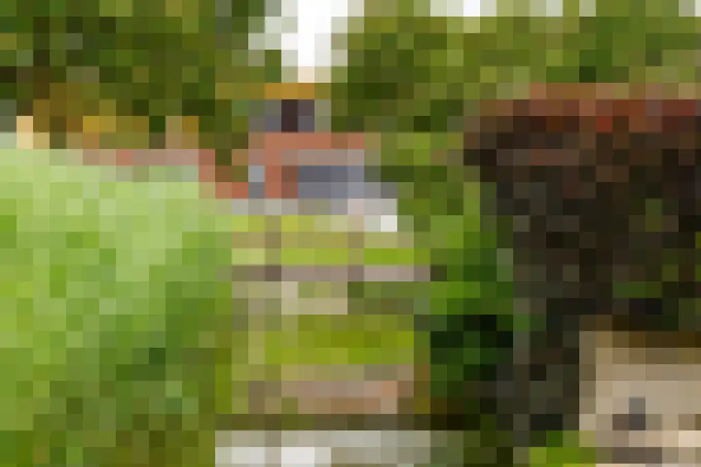 't Eiland 4 Werkendam thumbnail 52