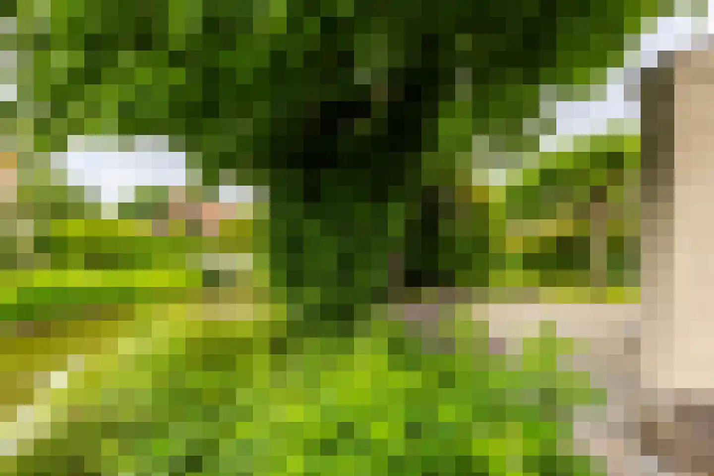 't Eiland 4 Werkendam thumbnail 58
