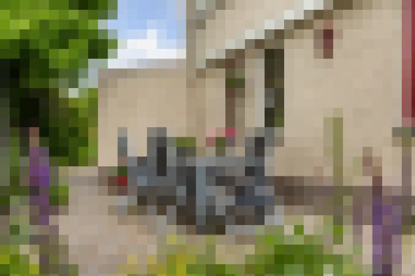 't Eiland 4 Werkendam thumbnail 60