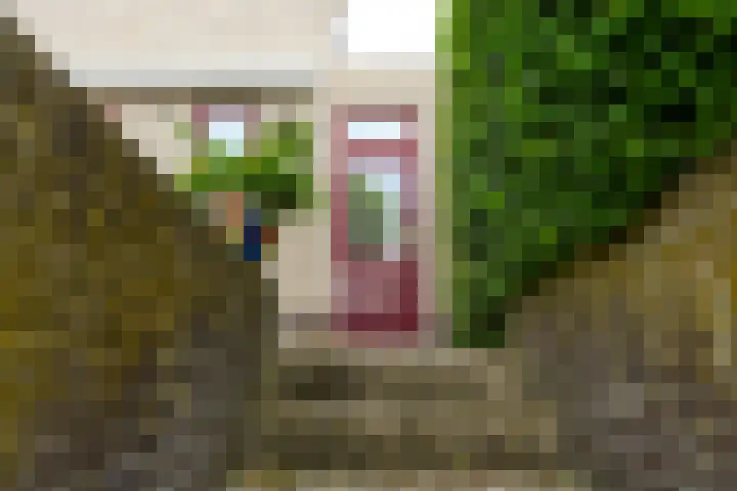 't Eiland 4 Werkendam thumbnail 61
