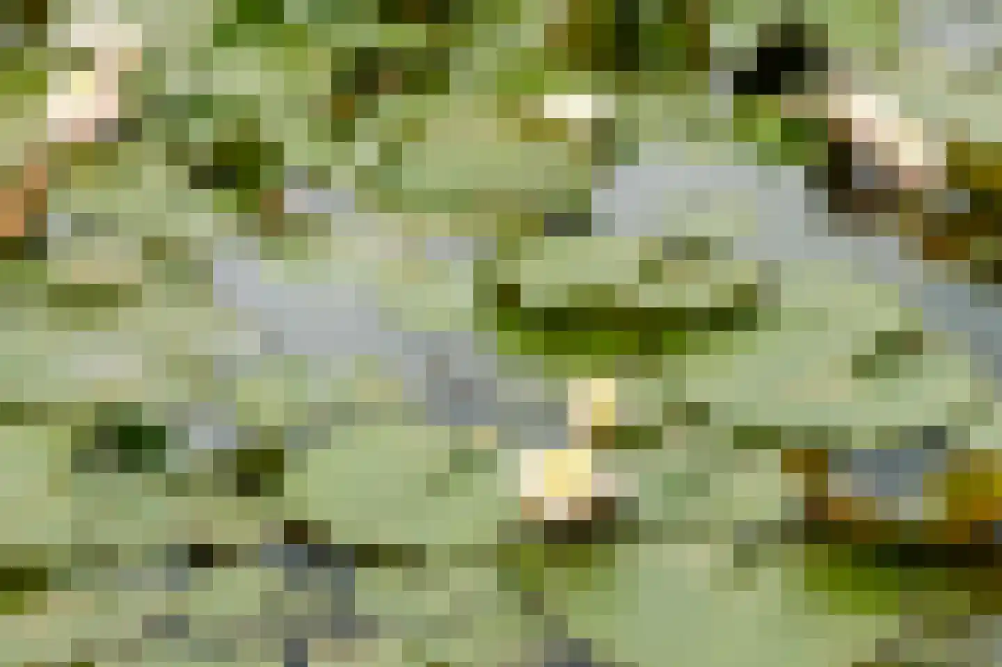 't Eiland 4 Werkendam thumbnail 63