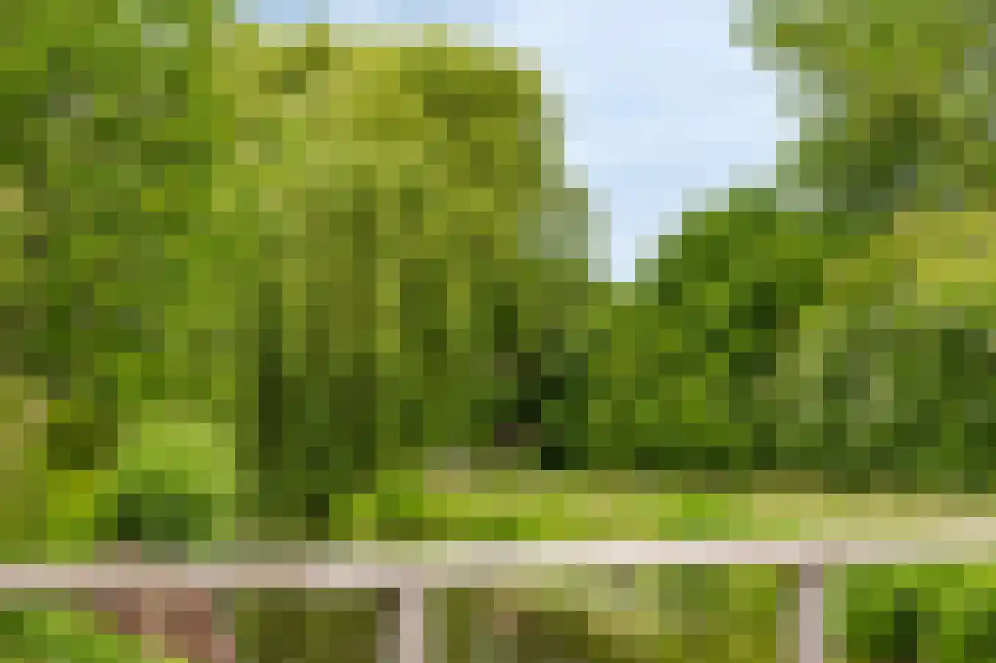 't Eiland 4 Werkendam thumbnail 65
