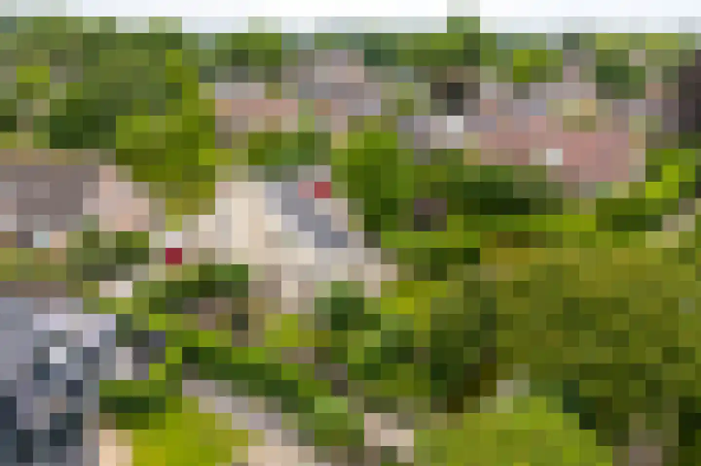 't Eiland 4 Werkendam thumbnail 70