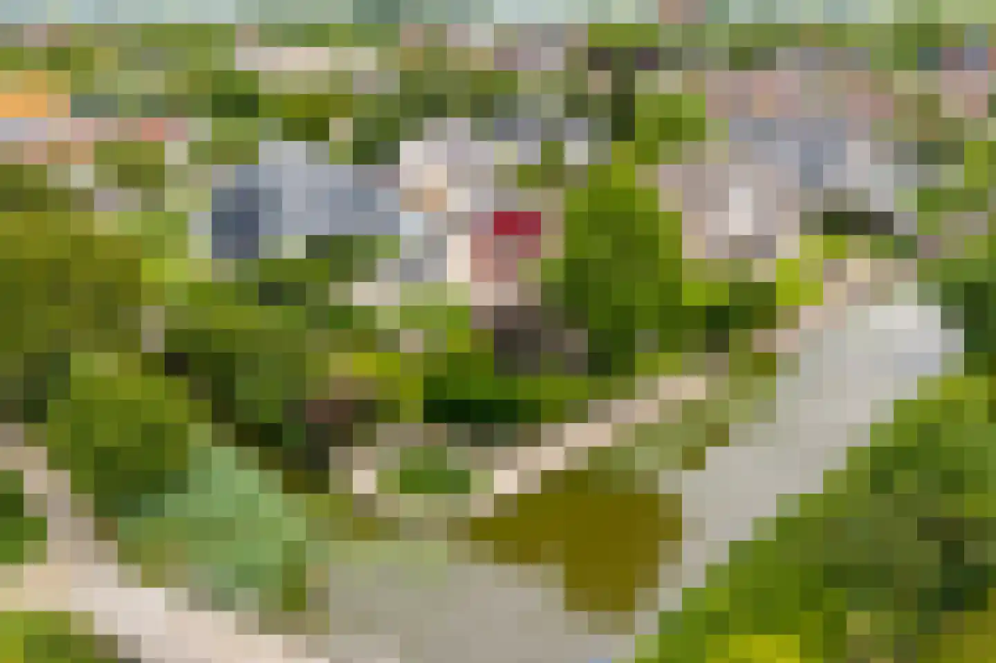't Eiland 4 Werkendam thumbnail 71