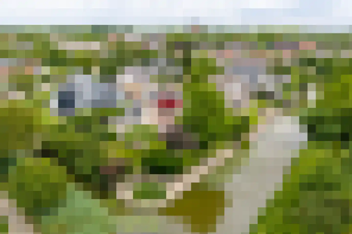 't Eiland 4 Werkendam thumbnail 72