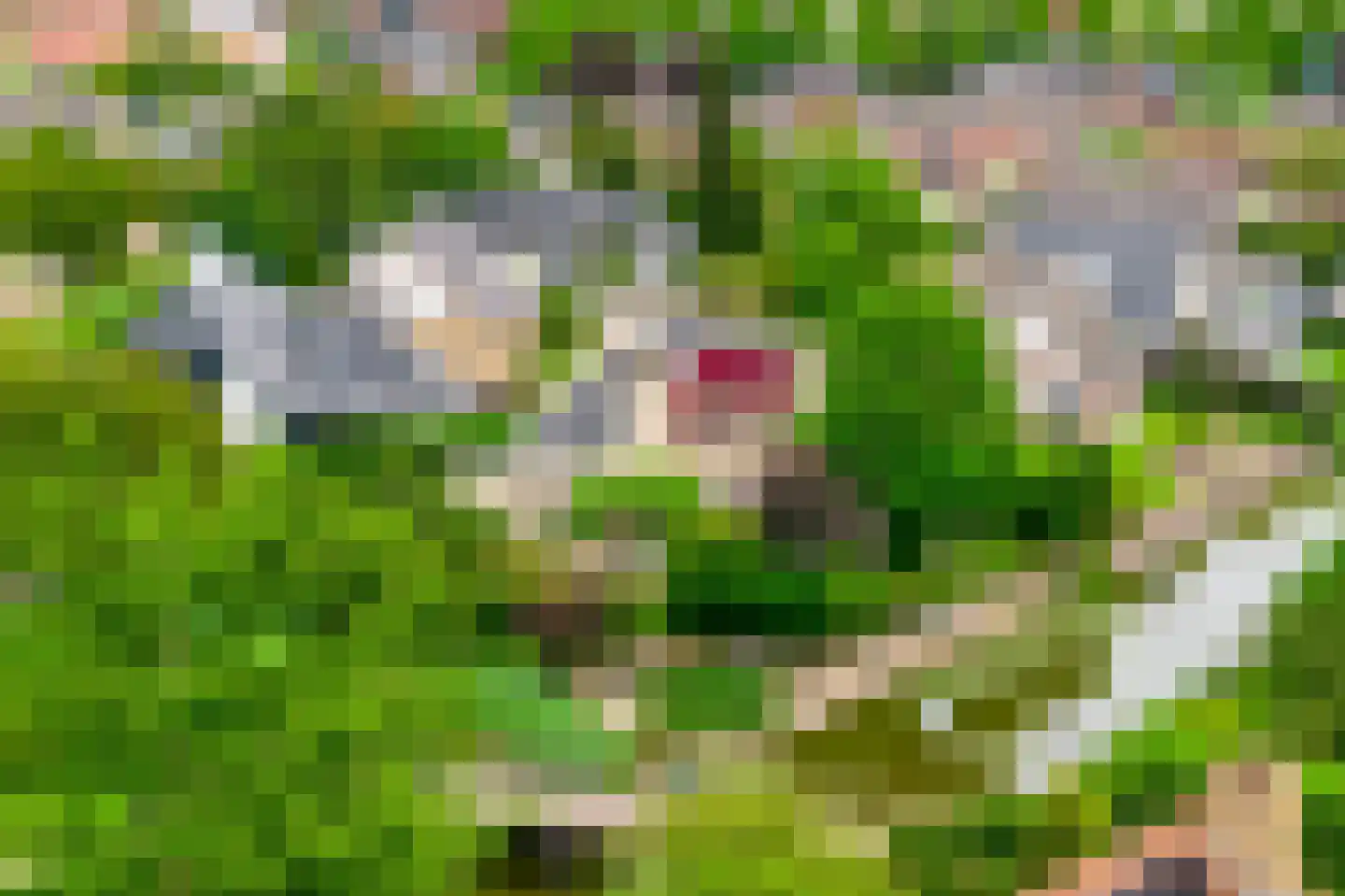 't Eiland 4 Werkendam thumbnail 73