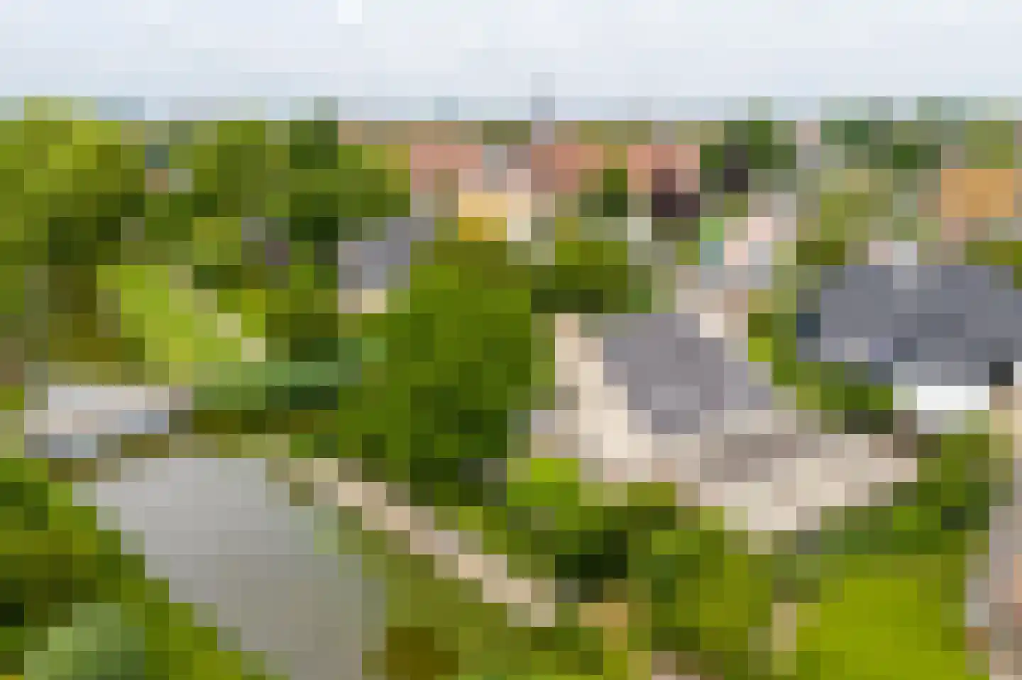 't Eiland 4 Werkendam thumbnail 74