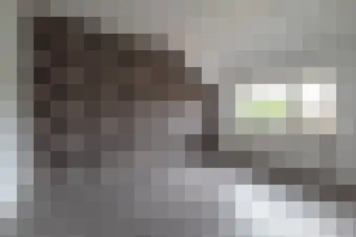 't Emmerrik 11 Tolbert thumbnail 16