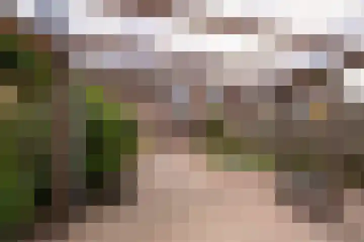 't Emmerrik 11 Tolbert thumbnail 26