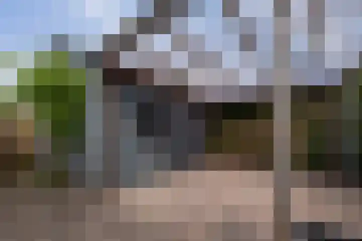 't Emmerrik 11 Tolbert thumbnail 27