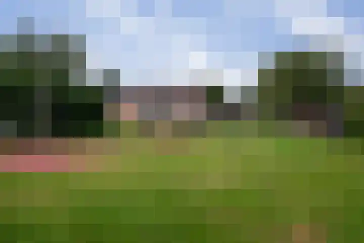 't Emmerrik 11 Tolbert thumbnail 28