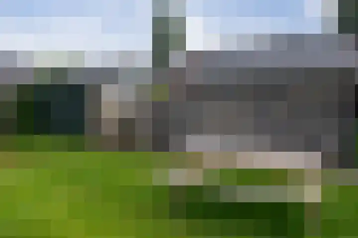 't Emmerrik 11 Tolbert thumbnail 29
