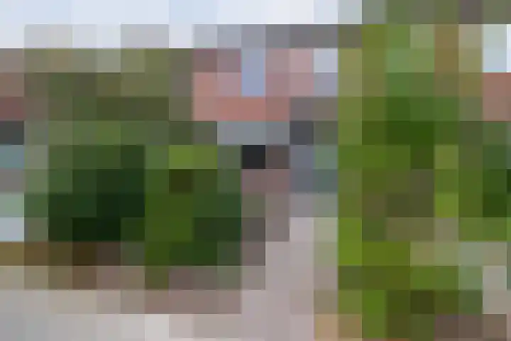 't Emmerrik 11 Tolbert thumbnail 36