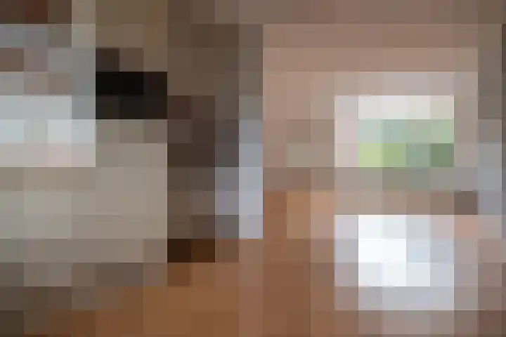 't Emmerrik 11 Tolbert thumbnail 7