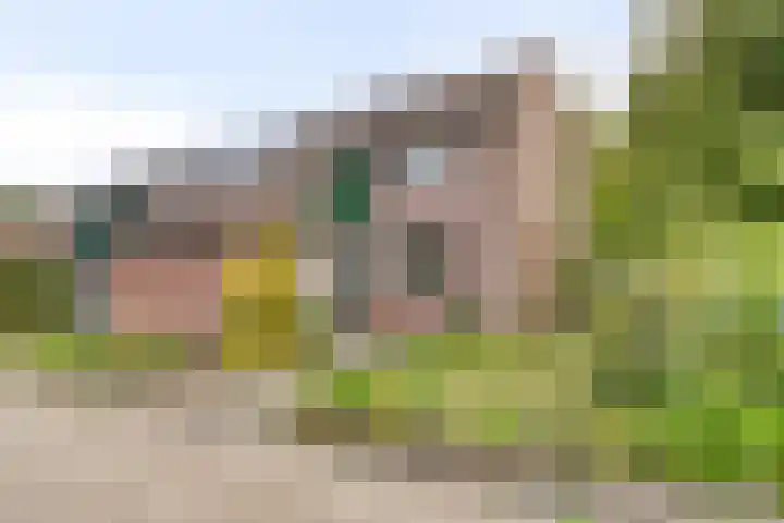 't Emmerrik 16 Tolbert thumbnail 39
