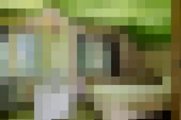 't Eng 12 Sleen thumbnail 21