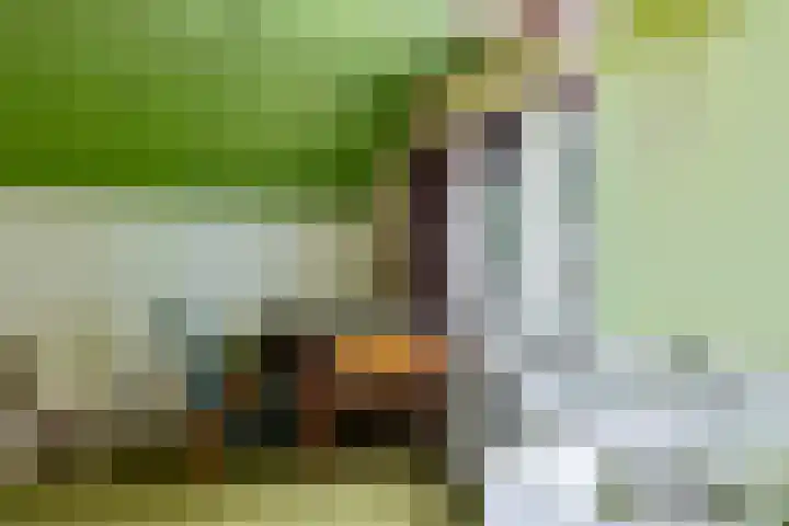 't Eng 12 Sleen thumbnail 22