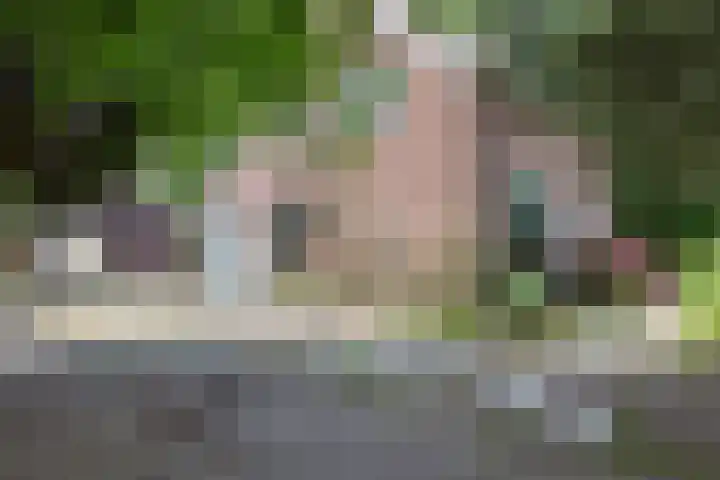 't Eng 12 Sleen thumbnail 24