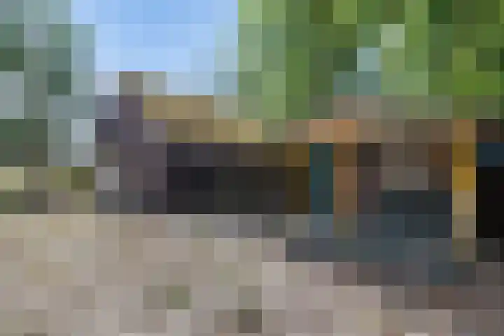 't Eng 12 Sleen thumbnail 25