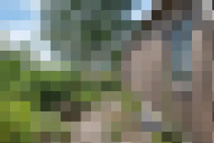 't Eng 12 Sleen thumbnail 26