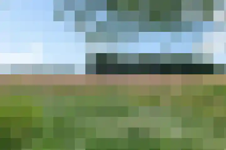 't Eng 12 Sleen thumbnail 27
