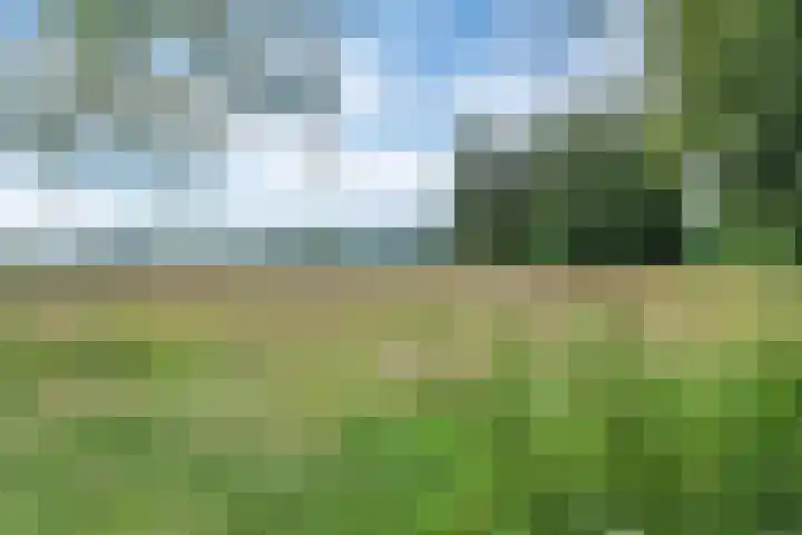 't Eng 12 Sleen thumbnail 28