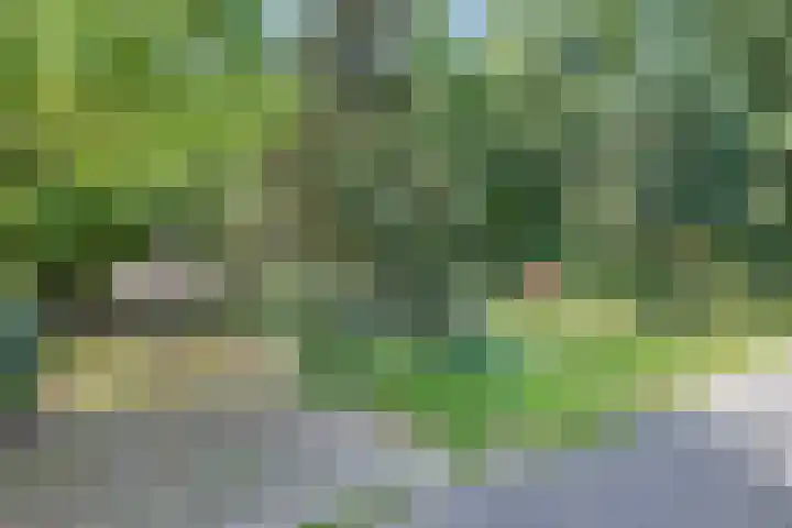 't Eng 12 Sleen thumbnail 29