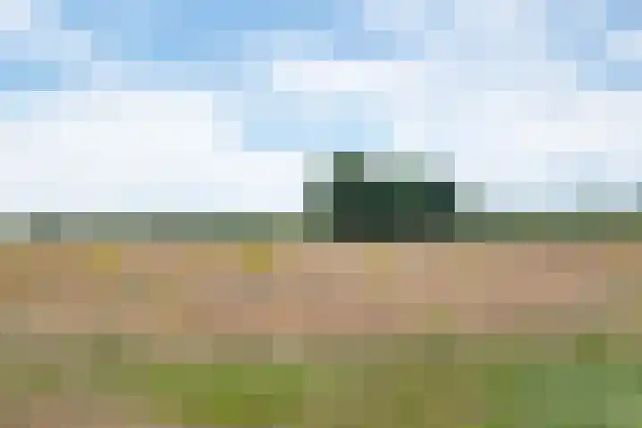 't Eng 12 Sleen thumbnail 30