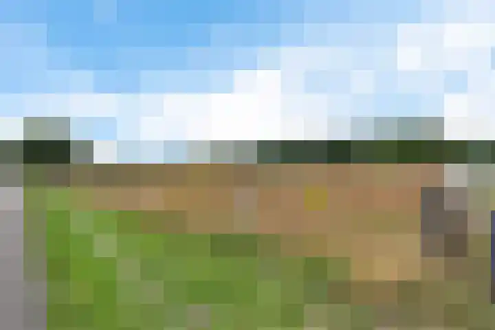 't Eng 12 Sleen thumbnail 31