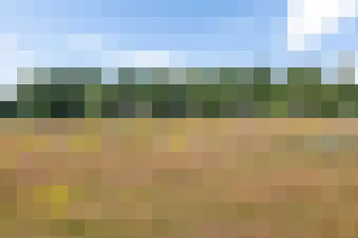 't Eng 12 Sleen thumbnail 32