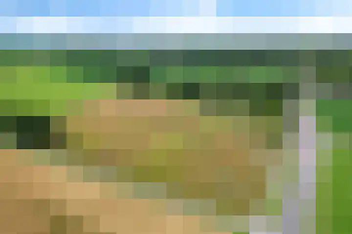 't Eng 12 Sleen thumbnail 33