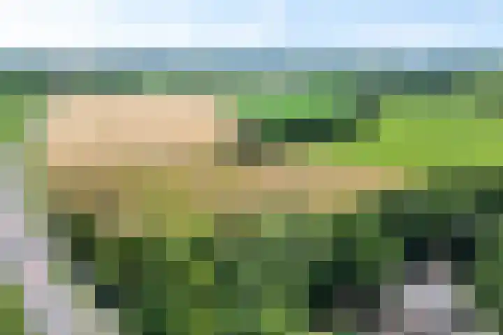 't Eng 12 Sleen thumbnail 4