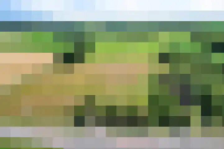 't Eng 12 Sleen thumbnail 5