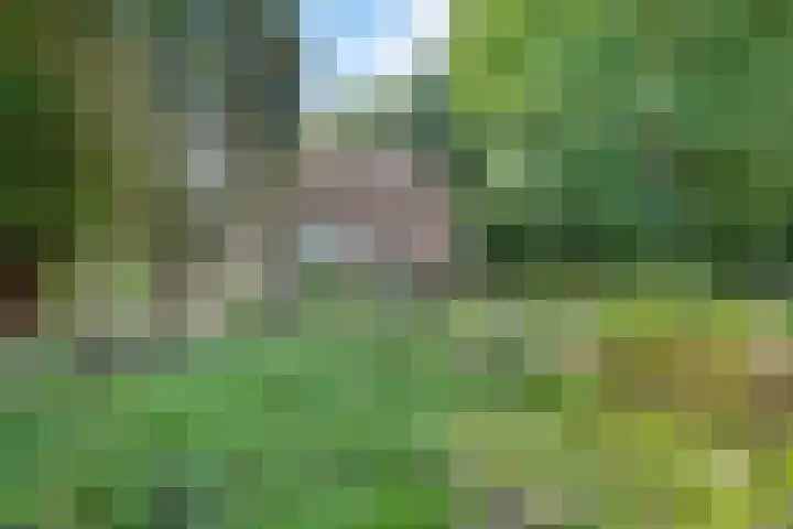 't Eng 12 Sleen thumbnail 6