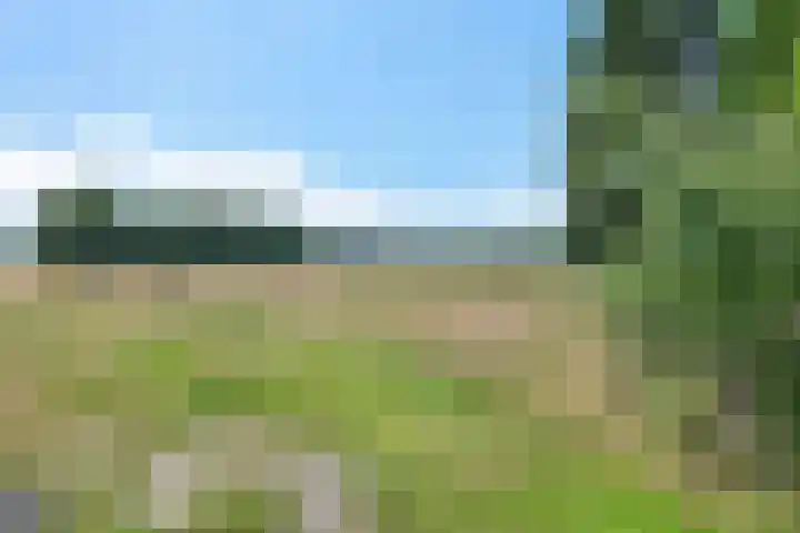 't Eng 12 Sleen thumbnail 7