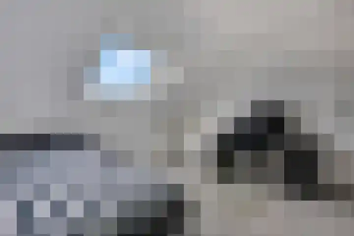 't Erf 13 Bemmel thumbnail 25
