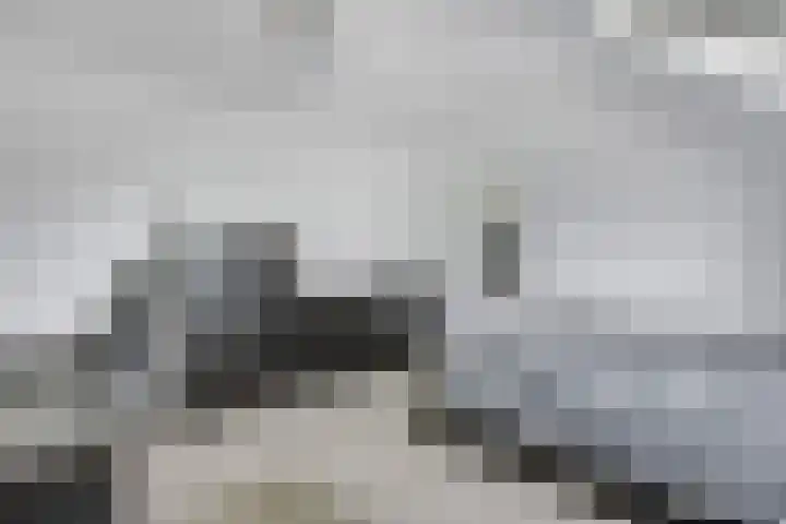 't Erf 13 Bemmel thumbnail 26