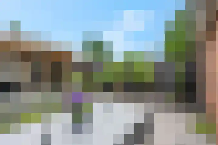 't Erf 13 Bemmel thumbnail 33