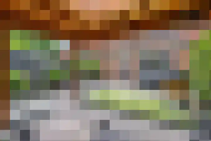 't Erf 13 Bemmel thumbnail 34