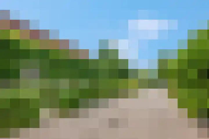 't Erf 13 Bemmel thumbnail 37