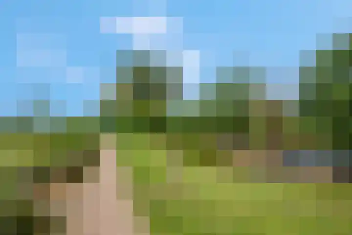 't Erf 13 Bemmel thumbnail 40