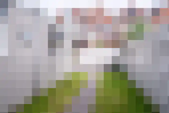 't Erf 13 Bemmel thumbnail 45