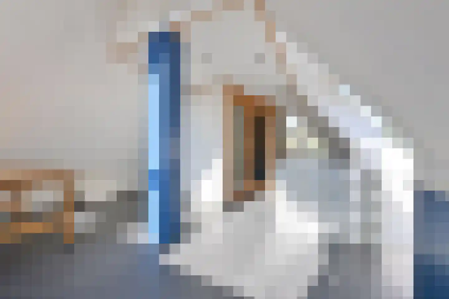 't Erf 13 Blaricum thumbnail 15