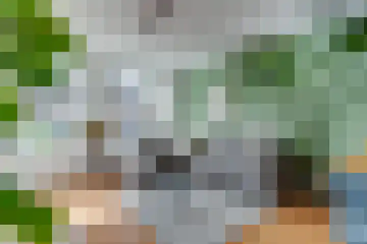 't Erf 33 Leusden thumbnail 13