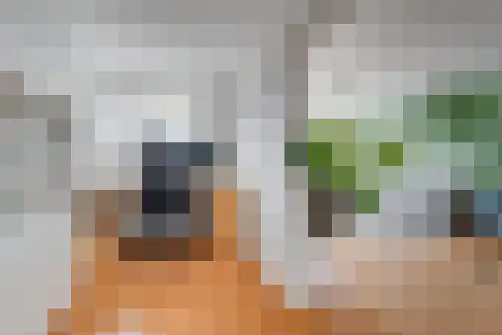 't Erf 33 Leusden thumbnail 18