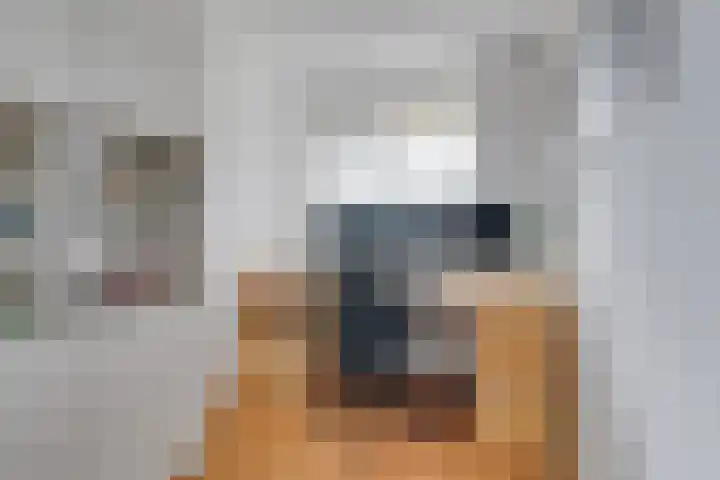 't Erf 33 Leusden thumbnail 19