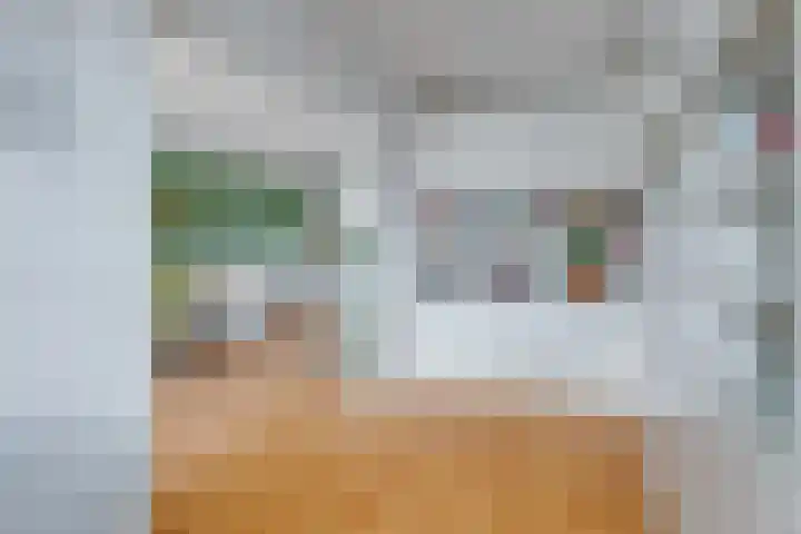 't Erf 33 Leusden thumbnail 20